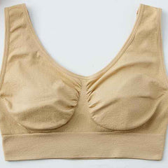 Pack Of 2 Womens Fashion Sports Bra | Seamless, Padded, Non-Wired Gym & Yoga Bra | High Support, Comfortable Everyday Bralette