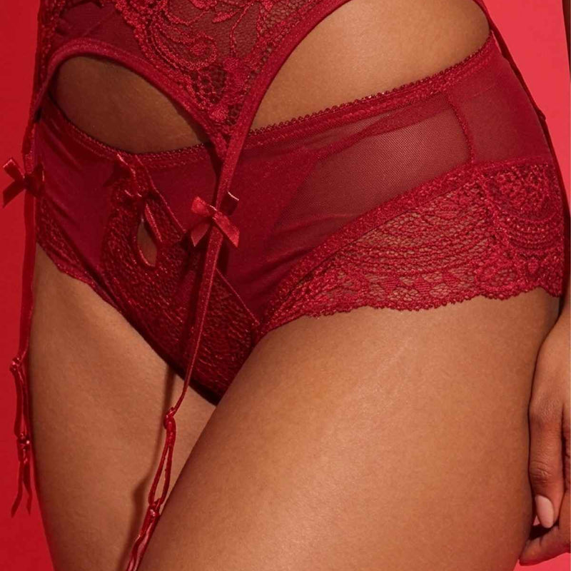 Red Lace Garter Belt with Sheer Panels