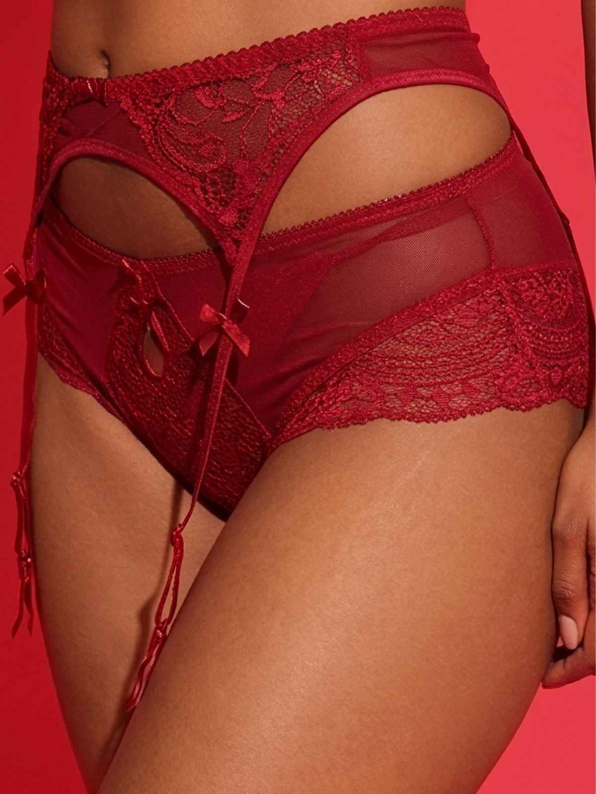 Red Lace Garter Belt with Sheer Panels