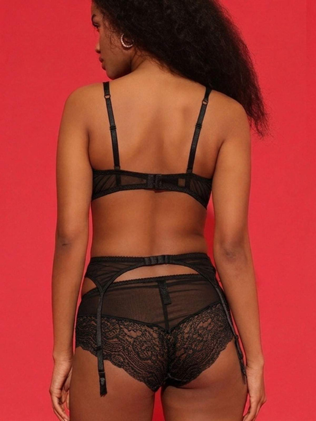 Black Lace Garter Belt with Sheer Panels