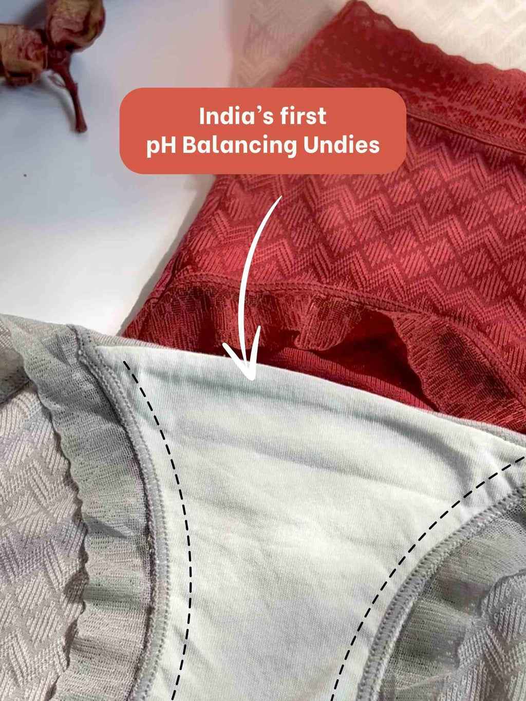 Lacy CornSilk Briefs – Breathes With You. Soft on Skin. Kind to Earth.