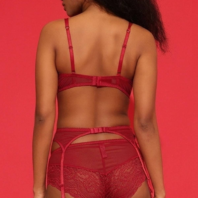 Red Lace Garter Belt with Sheer Panels