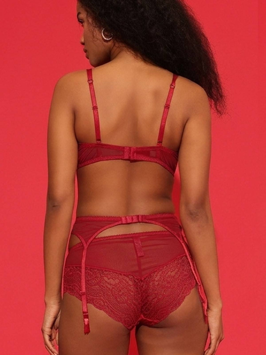 Red Lace Garter Belt with Sheer Panels