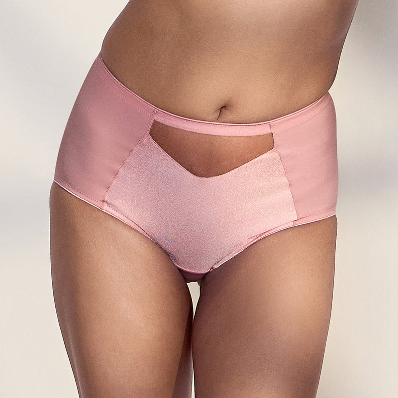 MAROON Rise Luxe Find My Skin Tone Nylon Elastane High Rise Briefs Soft Stretchy Full Coverage High Waist Hold Zero Roll Grip Vanishing Waistband Hipster Pack of 2 Panty Combo