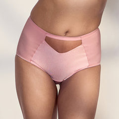 MAROON Rise Luxe Find My Skin Tone Nylon Elastane High Rise Briefs Soft Stretchy Full Coverage High Waist Hold Zero Roll Grip Vanishing Waistband Hipster Pack of 2 Panty Combo