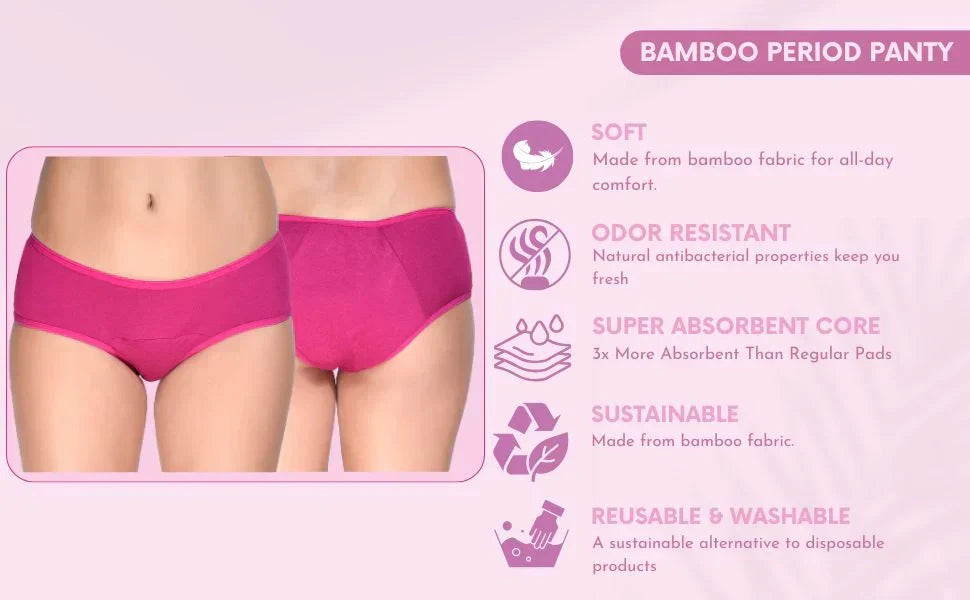 Bamboo Period Panty – 5-Layer Absorbent, Leak-Proof (Pack of 2)