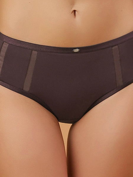 SOIE Woman - High Waist Full Coverage Mesh Panelled Brief - Panty -for Women