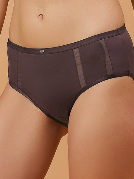 SOIE Woman - High Waist Full Coverage Mesh Panelled Brief - Panty -for Women