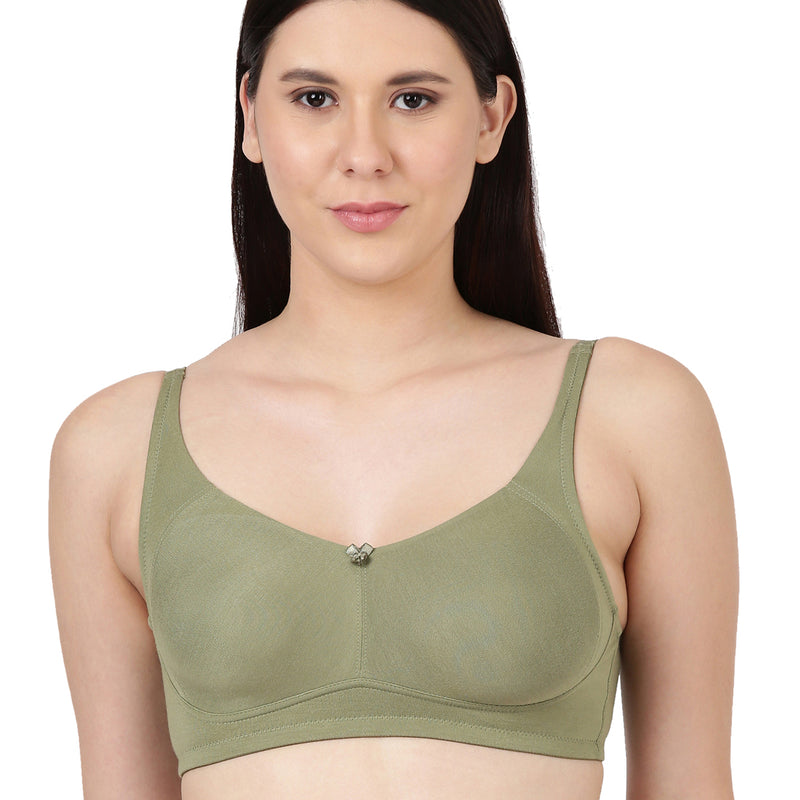 OLIVE 1