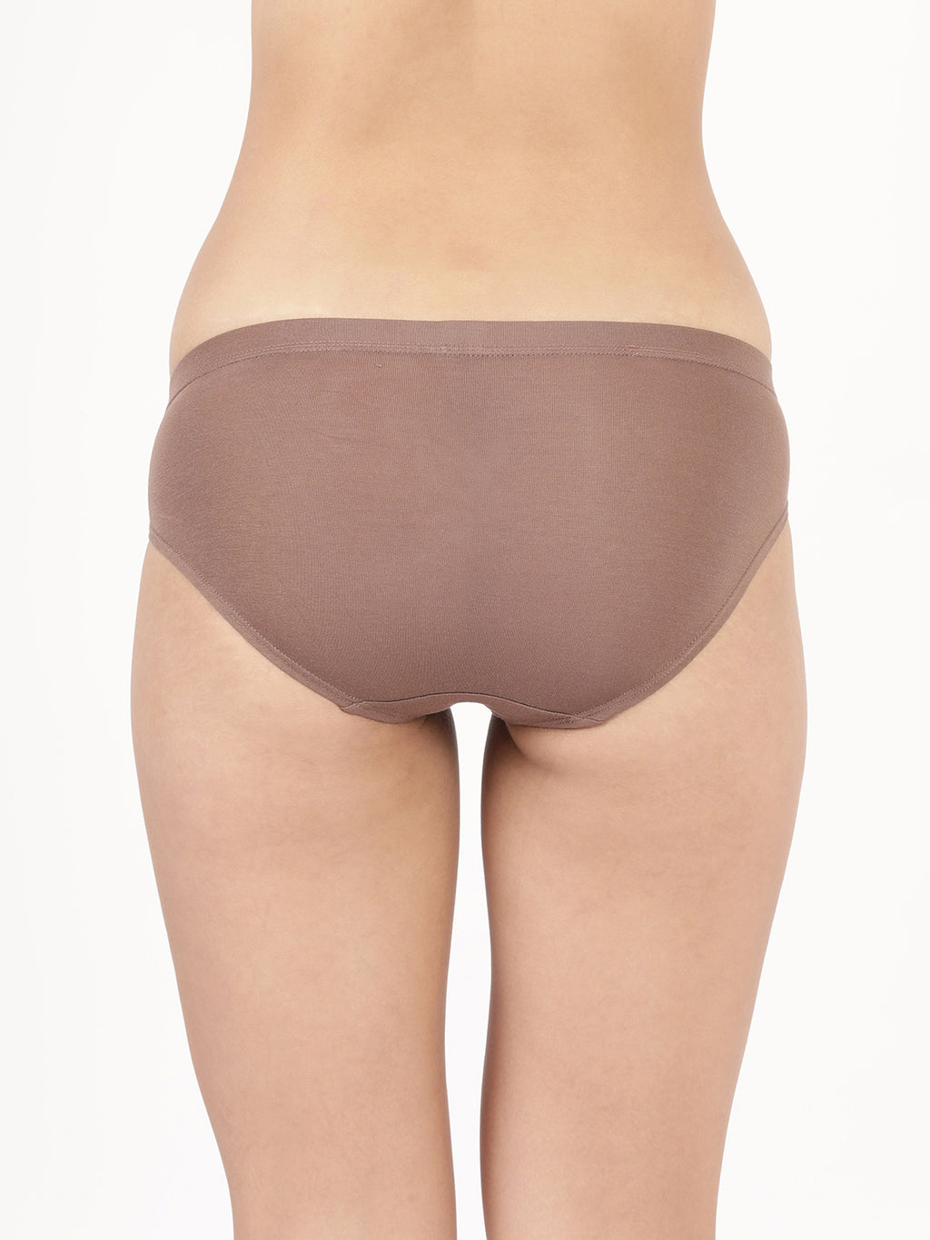  Misty Modal 13