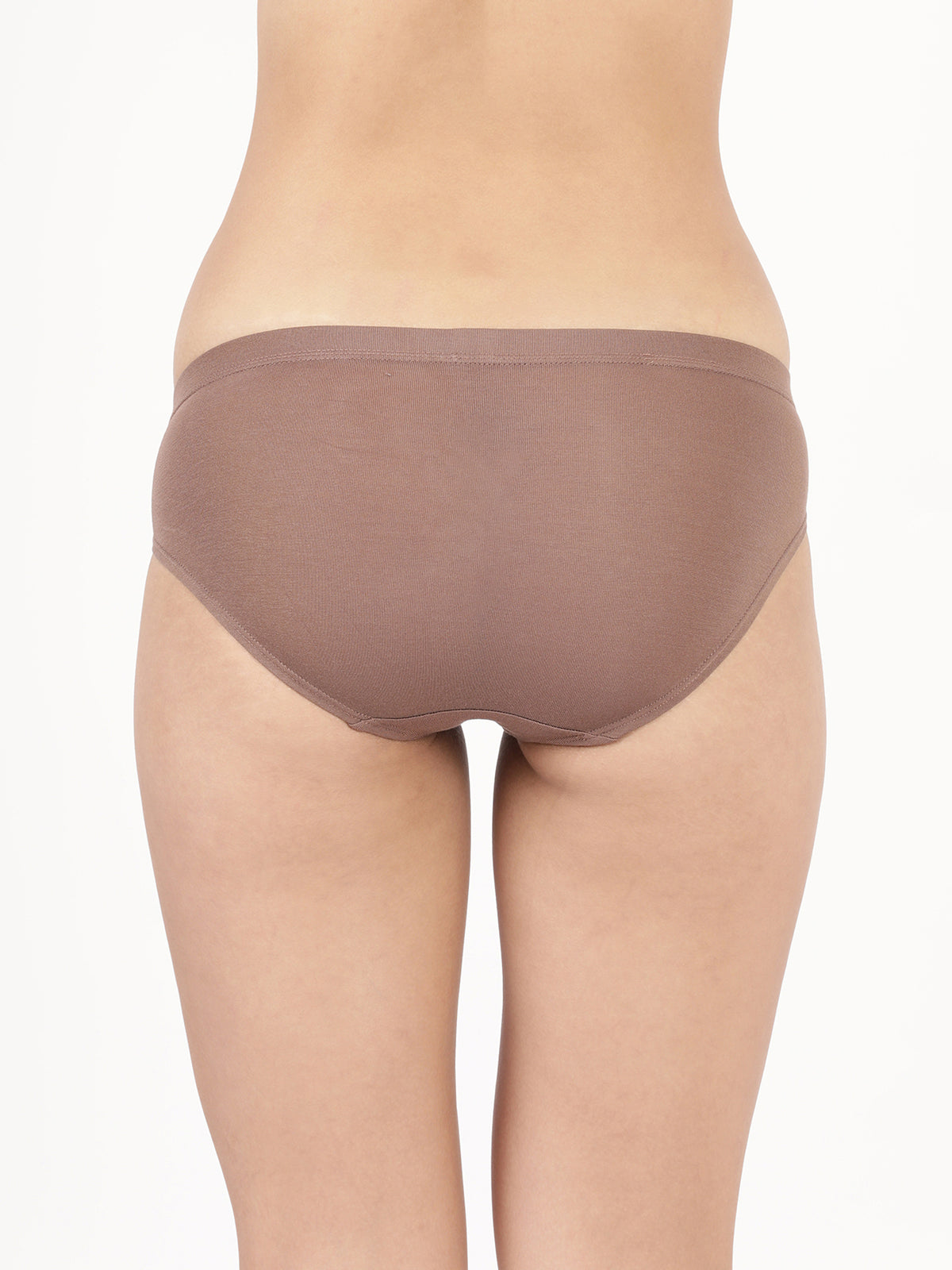  Misty Modal 13