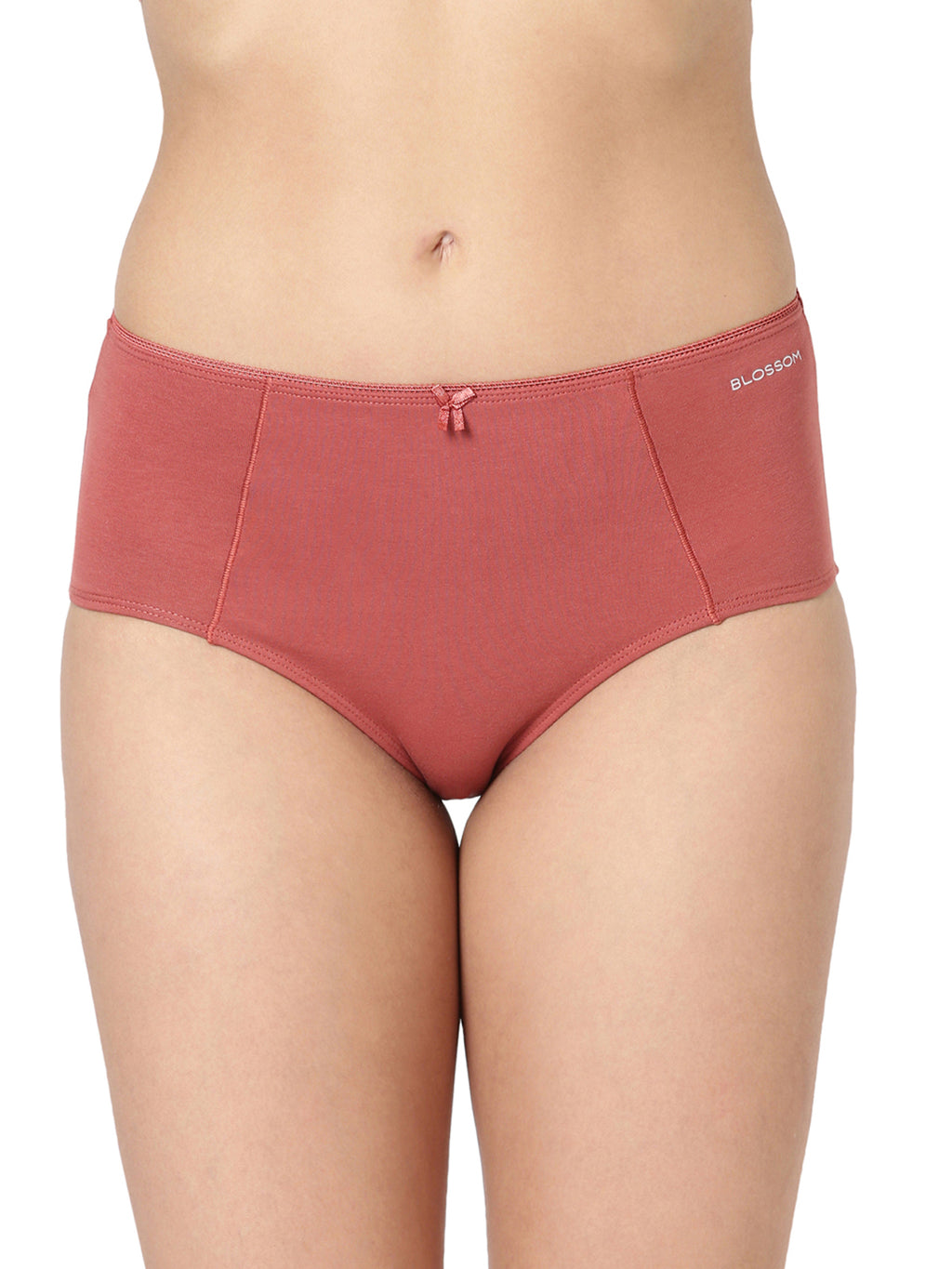 Hug U Panty Stretch Cotton With Feminine Touch Pack of 2