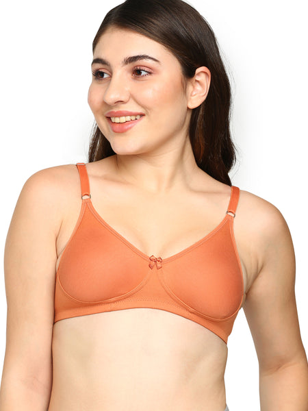 Women's Everyday Comfort non padded T-shirt Bra With Supportive Fit_Lara Bra