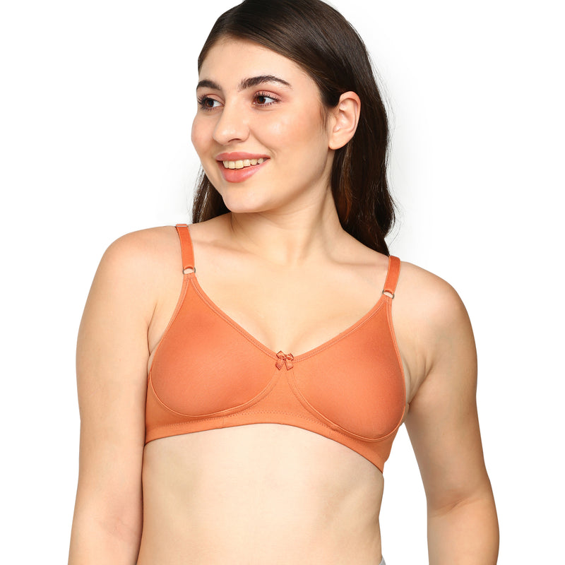 Women's Everyday Comfort non padded T-shirt Bra With Supportive Fit_Lara Bra