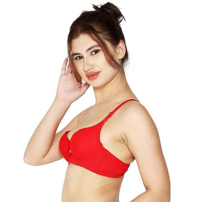 women Self Design Wired Lightly Padded Pushup Bra