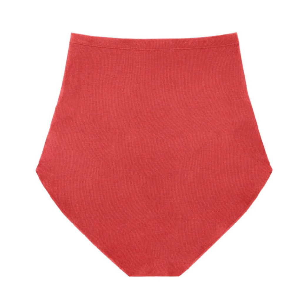 Preggy Panty 3