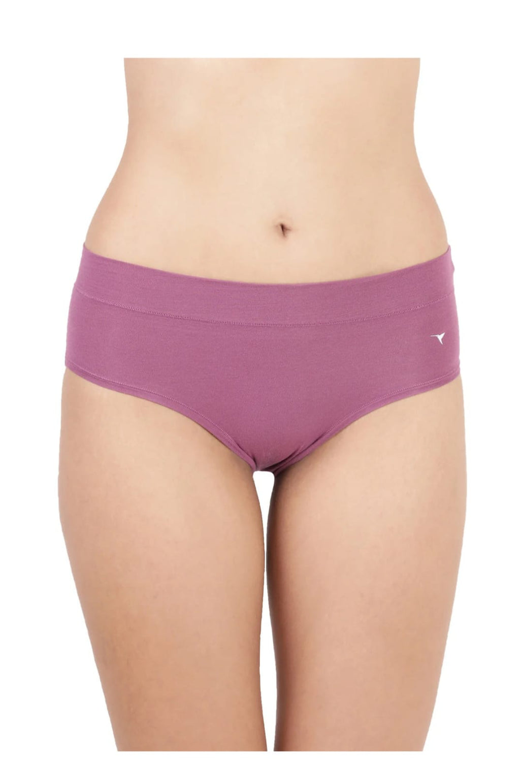 Snug Fit Panty 2
