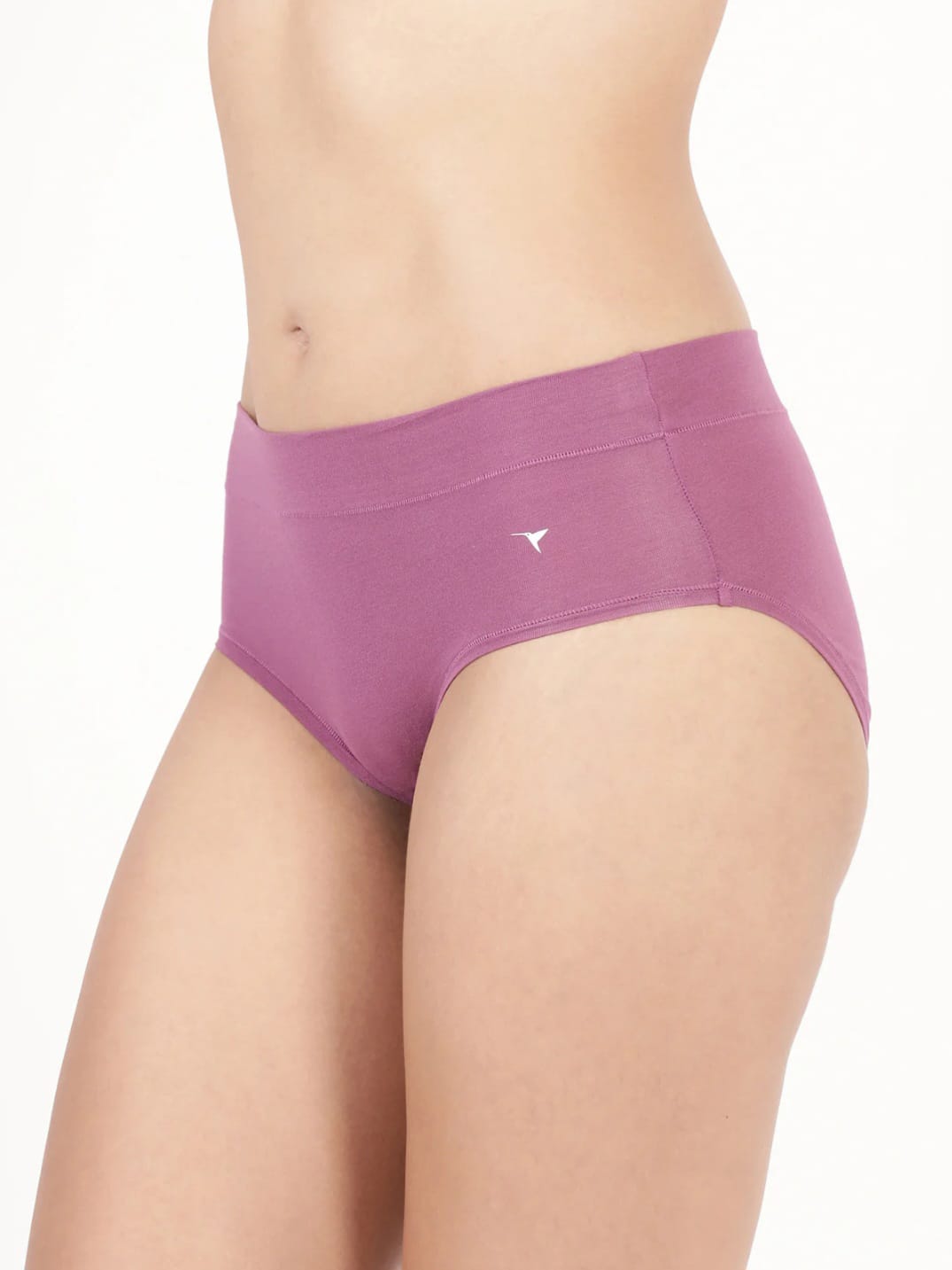 Snug Fit Panty 3