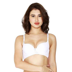 women Self Design Wired Lightly Padded Pushup Bra